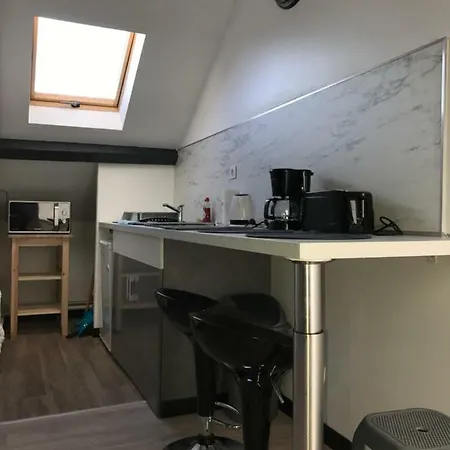 Luxury Lilas 4 Appartement Dijon