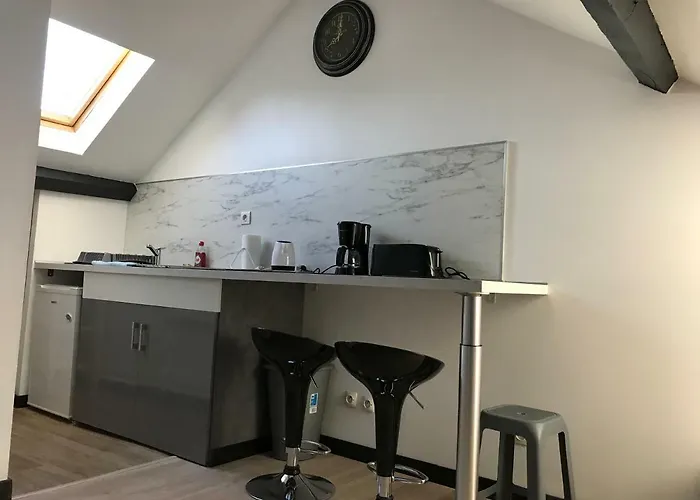 Luxury Lilas 4 * ディジョン