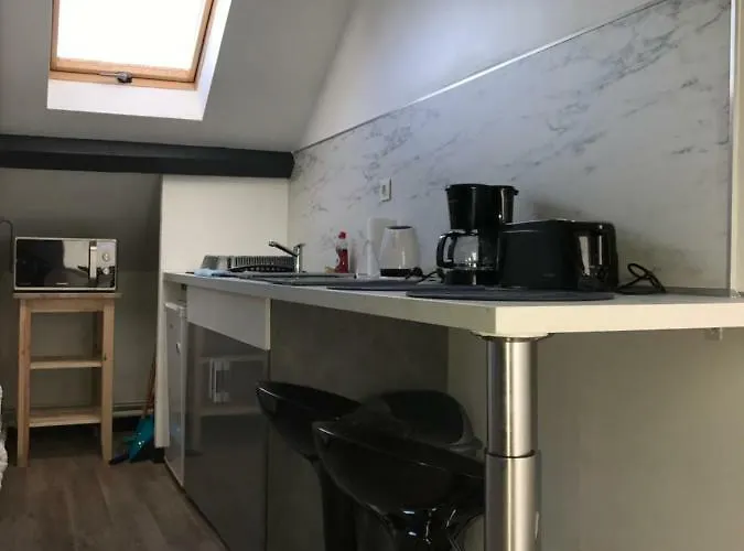 Luxury Lilas 4 Apartamento Dijon